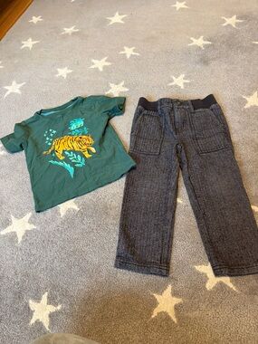 TEA 3T Gray Herringbone Pants with Dark Charcoal Waistband and tiger shirt